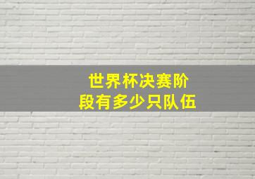 世界杯决赛阶段有多少只队伍