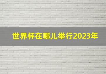 世界杯在哪儿举行2023年