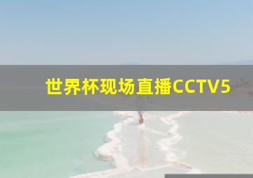 世界杯现场直播CCTV5