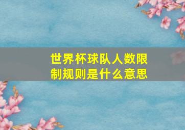 世界杯球队人数限制规则是什么意思