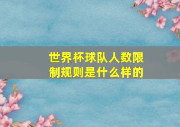 世界杯球队人数限制规则是什么样的