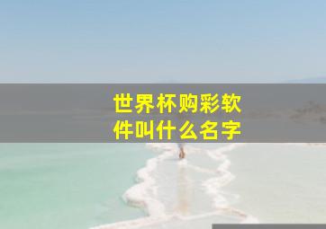 世界杯购彩软件叫什么名字