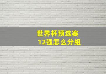 世界杯预选赛12强怎么分组