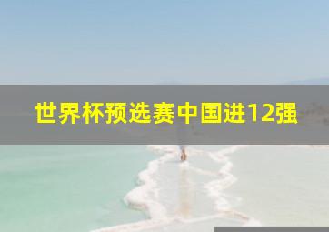 世界杯预选赛中国进12强