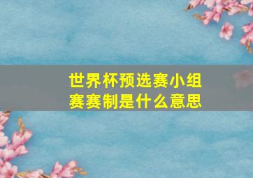 世界杯预选赛小组赛赛制是什么意思