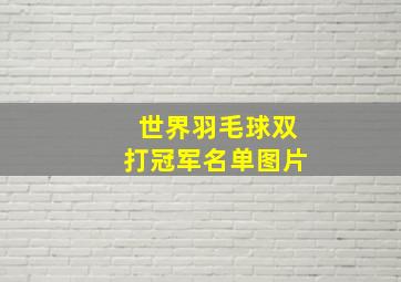 世界羽毛球双打冠军名单图片