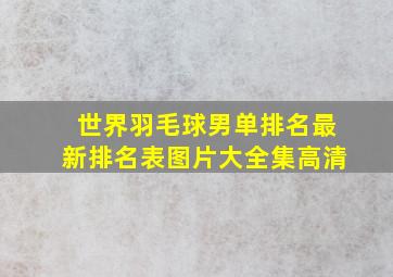 世界羽毛球男单排名最新排名表图片大全集高清