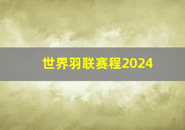 世界羽联赛程2024