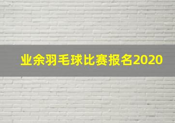 业余羽毛球比赛报名2020