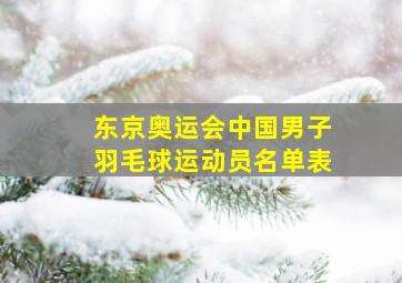 东京奥运会中国男子羽毛球运动员名单表