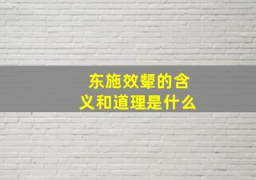 东施效颦的含义和道理是什么