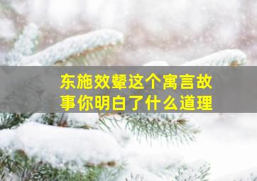 东施效颦这个寓言故事你明白了什么道理