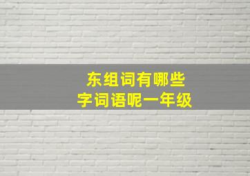 东组词有哪些字词语呢一年级