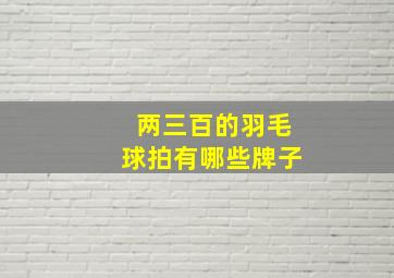 两三百的羽毛球拍有哪些牌子