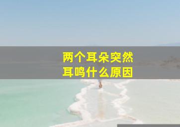 两个耳朵突然耳鸣什么原因