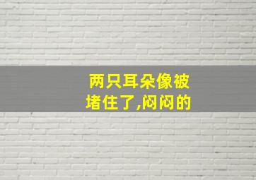 两只耳朵像被堵住了,闷闷的