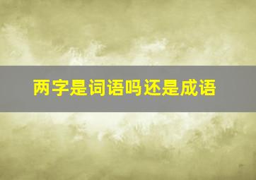 两字是词语吗还是成语