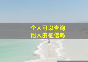 个人可以查询他人的征信吗