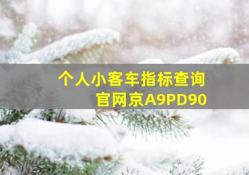 个人小客车指标查询官网京A9PD90