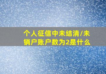 个人征信中未结清/未销户账户数为2是什么