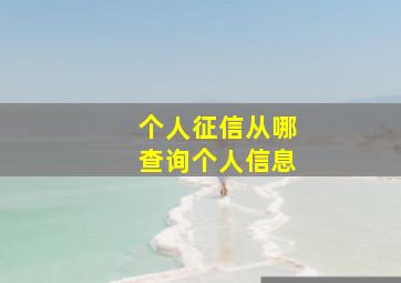 个人征信从哪查询个人信息