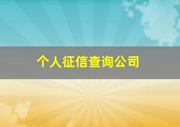 个人征信查询公司