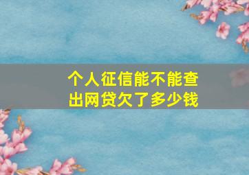 个人征信能不能查出网贷欠了多少钱