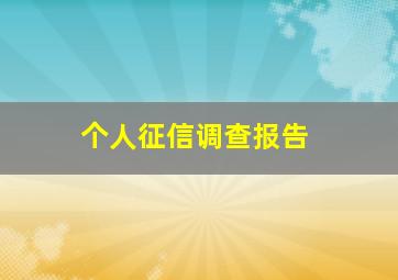 个人征信调查报告