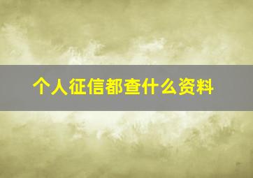 个人征信都查什么资料