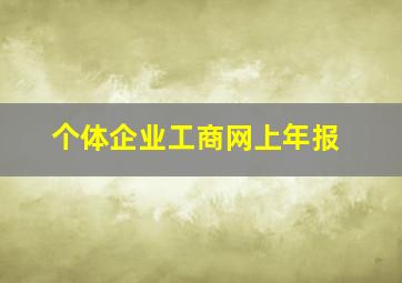 个体企业工商网上年报