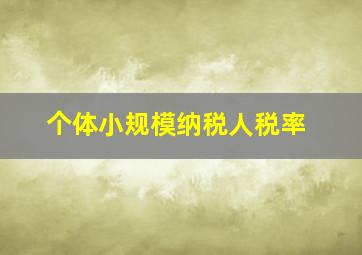 个体小规模纳税人税率