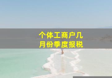 个体工商户几月份季度报税