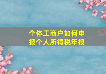 个体工商户如何申报个人所得税年报