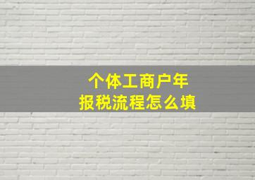 个体工商户年报税流程怎么填