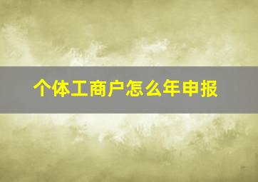 个体工商户怎么年申报