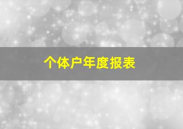 个体户年度报表