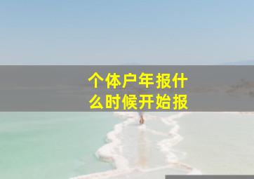 个体户年报什么时候开始报