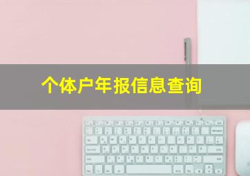 个体户年报信息查询