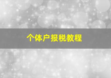 个体户报税教程