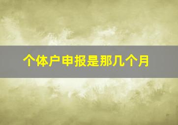 个体户申报是那几个月