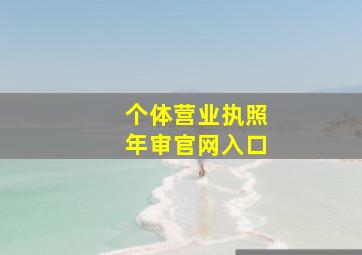 个体营业执照年审官网入口