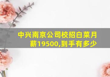 中兴南京公司校招白菜月薪19500,到手有多少