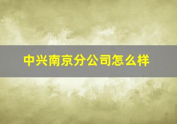 中兴南京分公司怎么样