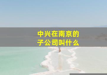 中兴在南京的子公司叫什么