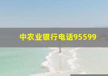 中农业银行电话95599