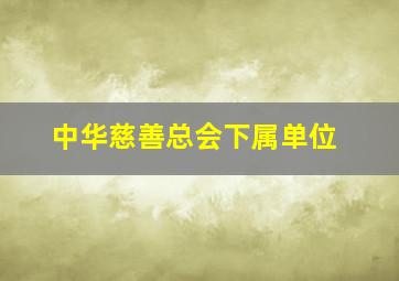 中华慈善总会下属单位