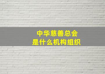 中华慈善总会是什么机构组织