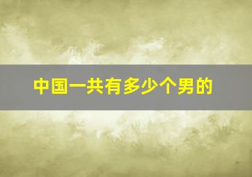 中国一共有多少个男的