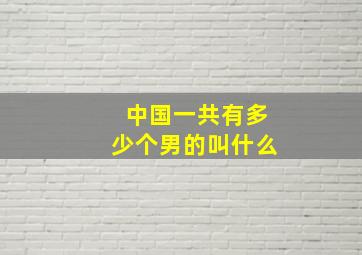 中国一共有多少个男的叫什么