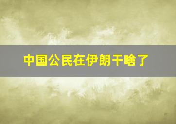 中国公民在伊朗干啥了